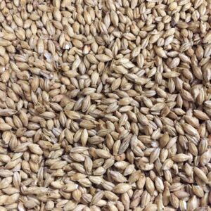 Basmalt är huvudingrediensen i allt öl
